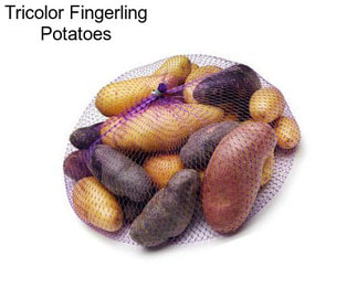 Tricolor Fingerling Potatoes