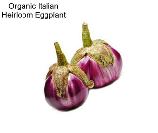 Organic Italian Heirloom Eggplant