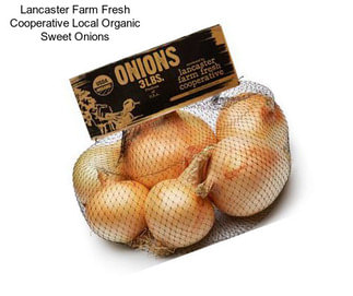 Lancaster Farm Fresh Cooperative Local Organic Sweet Onions