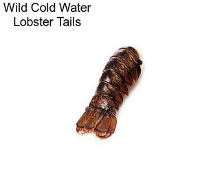 Wild Cold Water Lobster Tails