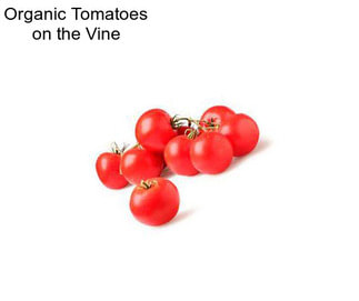 Organic Tomatoes on the Vine