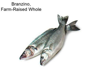 Branzino, Farm-Raised Whole