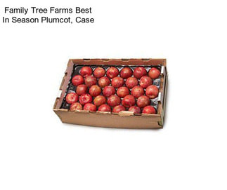 Family Tree Farms Best In Season Plumcot, Case