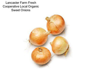 Lancaster Farm Fresh Cooperative Local Organic Sweet Onions