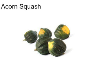 Acorn Squash