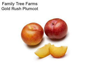 Family Tree Farms Gold Rush Plumcot