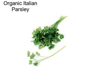 Organic Italian Parsley