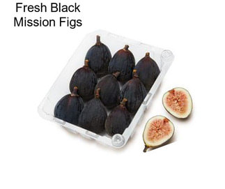 Fresh Black Mission Figs