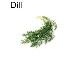 Dill