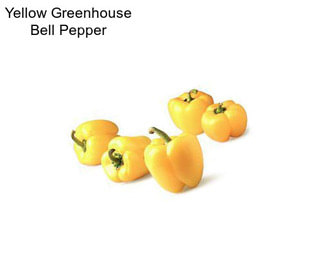 Yellow Greenhouse Bell Pepper