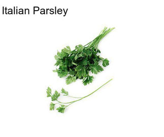 Italian Parsley