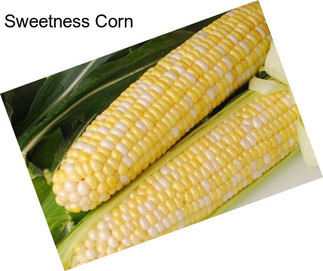 Sweetness Corn