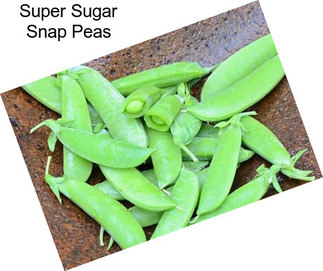 Super Sugar Snap Peas