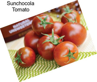 Sunchocola Tomato