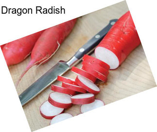 Dragon Radish
