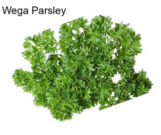 Wega Parsley