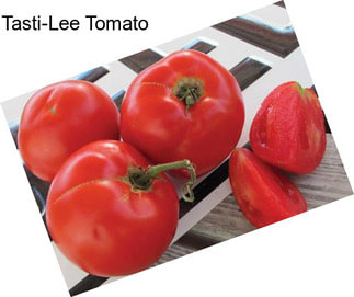 Tasti-Lee Tomato