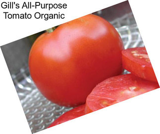 Gill\'s All-Purpose Tomato Organic