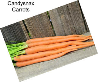 Candysnax Carrots