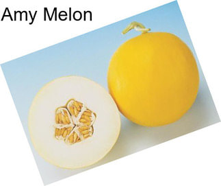 Amy Melon