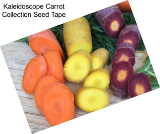 Kaleidoscope Carrot Collection Seed Tape