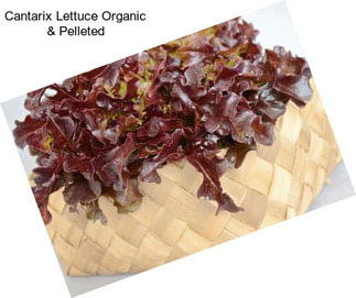 Cantarix Lettuce Organic & Pelleted