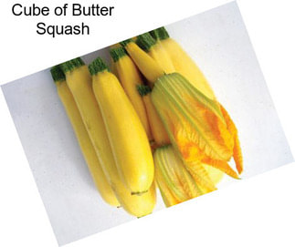 Cube of Butter Squash