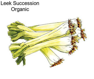 Leek Succession Organic