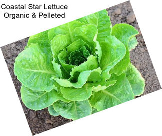 Coastal Star Lettuce Organic & Pelleted
