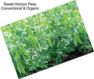 Sweet Horizon Peas Conventional & Organic