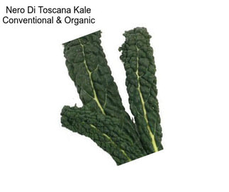 Nero Di Toscana Kale Conventional & Organic