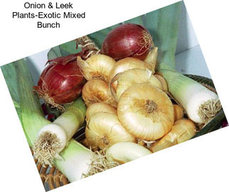 Onion & Leek Plants-Exotic Mixed Bunch