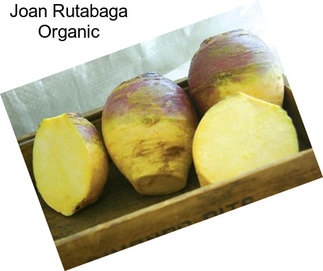 Joan Rutabaga Organic
