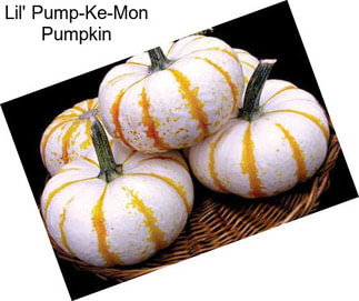 Lil\' Pump-Ke-Mon Pumpkin