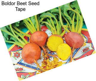 Boldor Beet Seed Tape