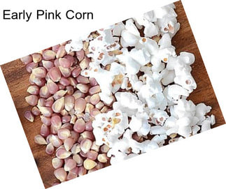 Early Pink Corn