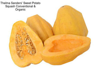 Thelma Sanders\' Sweet Potato Squash Conventional & Organic