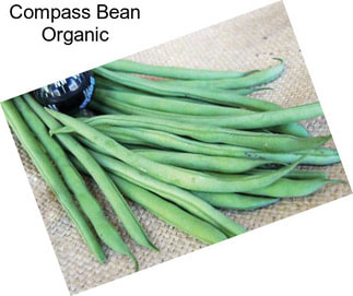 Compass Bean Organic