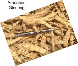 American Ginseng