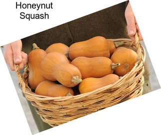 Honeynut Squash