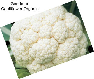 Goodman Cauliflower Organic