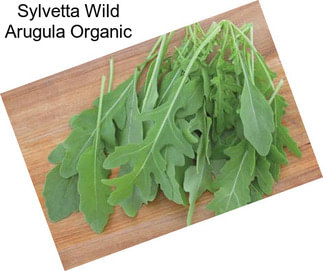 Sylvetta Wild Arugula Organic