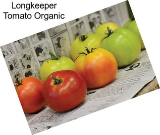 Longkeeper Tomato Organic