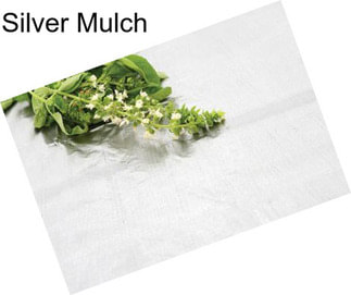 Silver Mulch