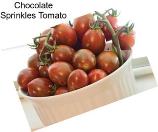 Chocolate Sprinkles Tomato