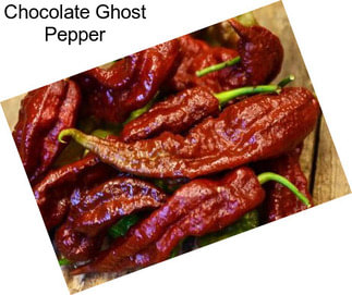 Chocolate Ghost Pepper