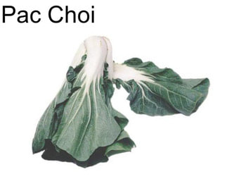 Pac Choi