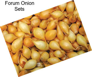 Forum Onion Sets