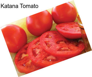 Katana Tomato