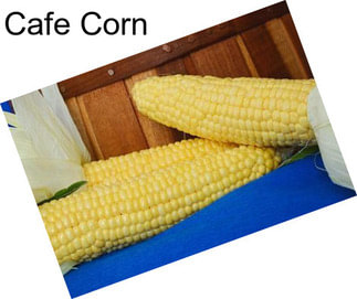 Cafe Corn